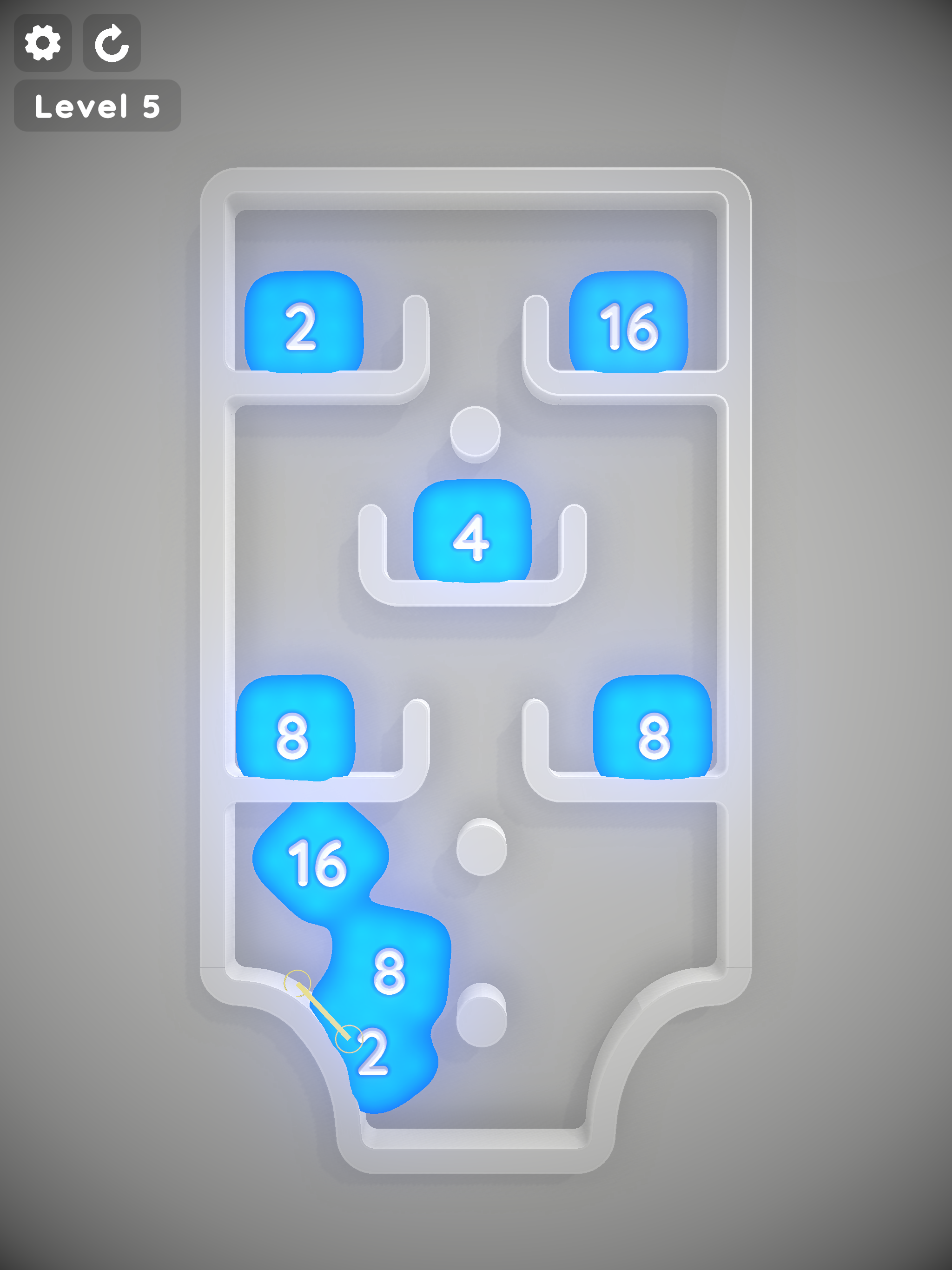 Pet Age & Countdown Widgets