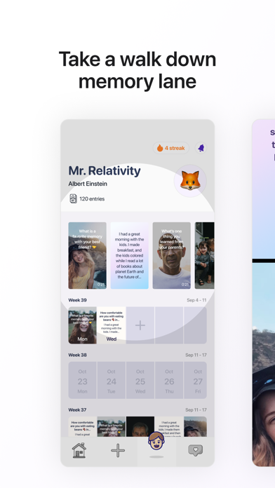 Vida Journal Screenshot