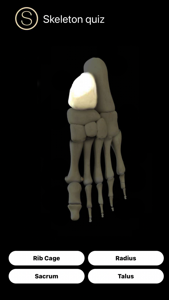 Human Anatomy Study Guide