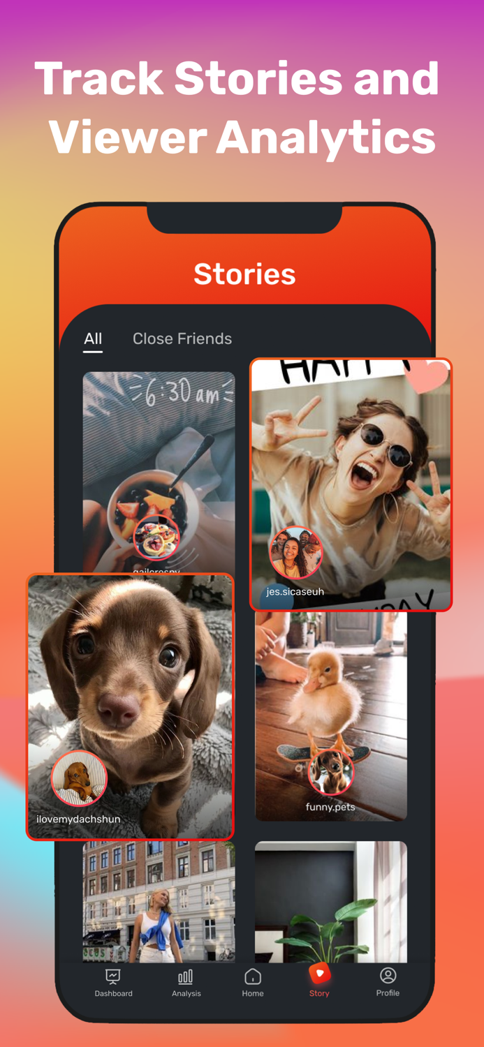 iViews - Followers Tracker