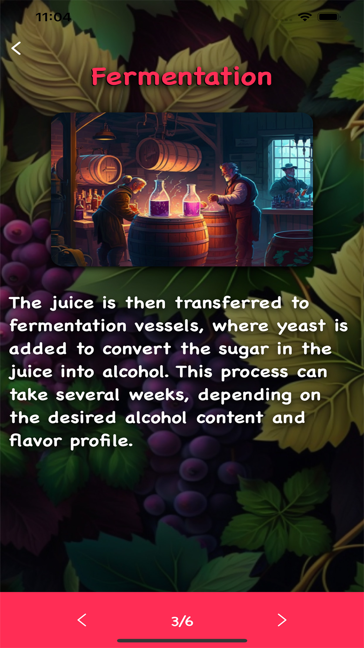 Wine School