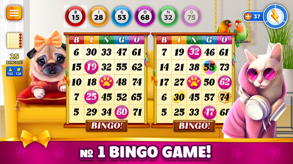 #1. Pet Bingo: Bingo Game 2024 (iOS) 来自: Dynamic Games Ltd