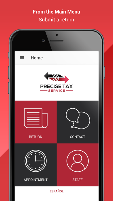 Precise Tax Service LLC Screenshot