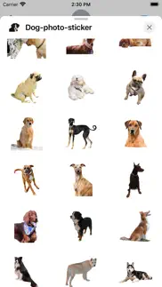 How to cancel & delete dog photo sticker 1