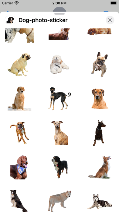 Screenshot #2 pour Chien photo autocollant