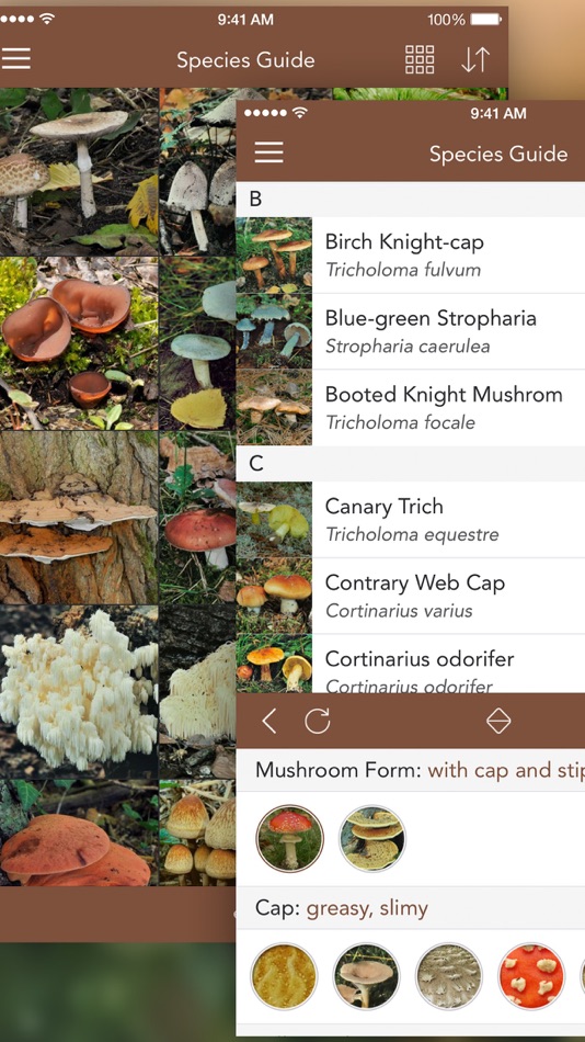 #3. Mushrooms PRO - Hunting Safe (iOS) 由: NATURE MOBILE