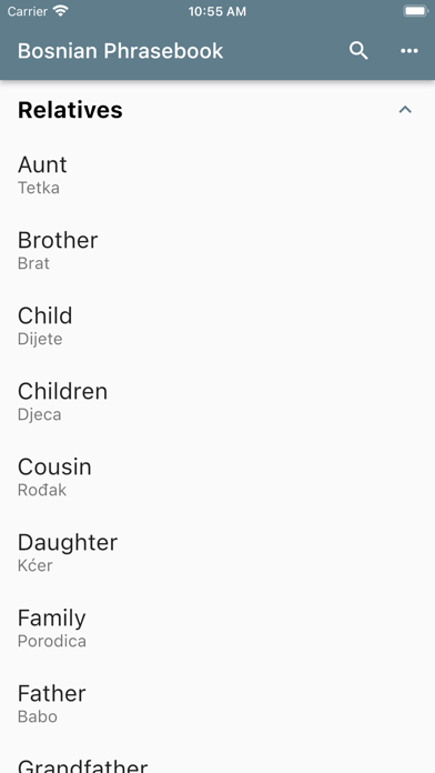 Bosnian Phrasebook Screenshot
