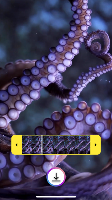 Live Wallpaper Maker Themes Screenshot
