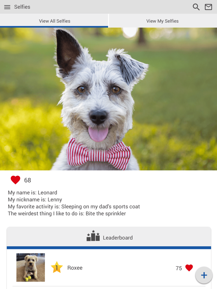 Companion Animal Hospital FL