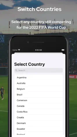 Game screenshot WorldCup Widget apk