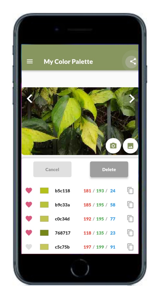 #8. My Color Palette with Photos (iOS) 게시자: Yasuko Takayashiki