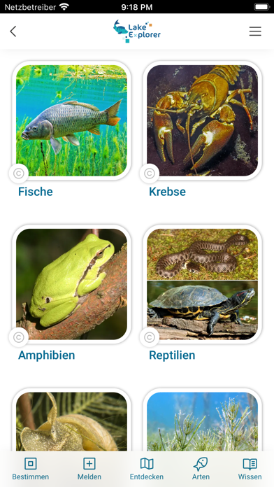 LakeExplorer Screenshot