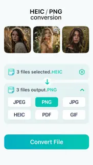 image converter jpeg png heic problems & solutions and troubleshooting guide - 3