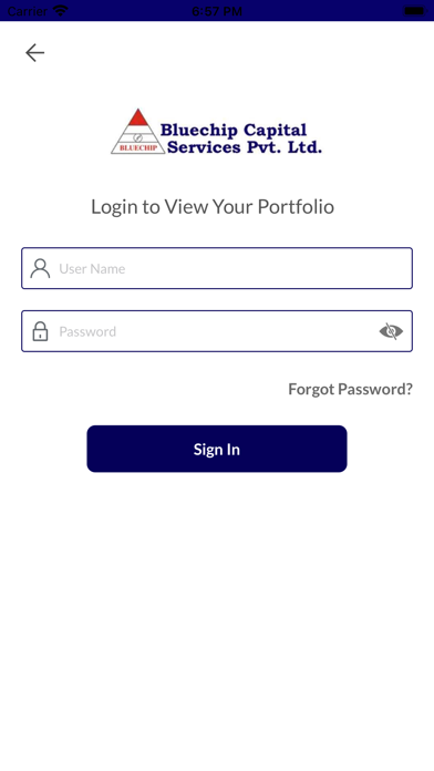 Bluechip Capital Screenshot