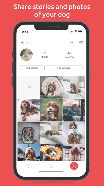 Gabby-dating & health for dogs screenshot-4