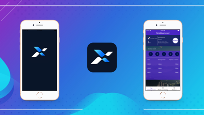 Screenshot #1 pour BEXAPP