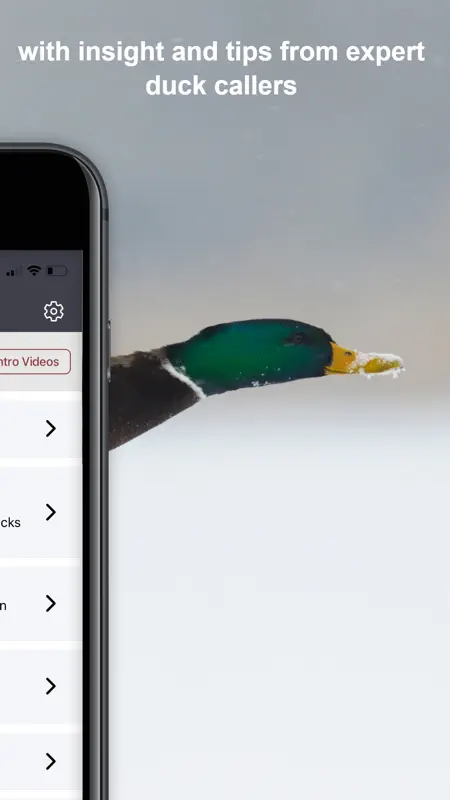 Duck Tech screenshot 2 of 7