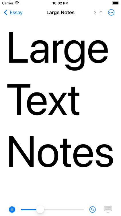 Large Text Notes, Big Text