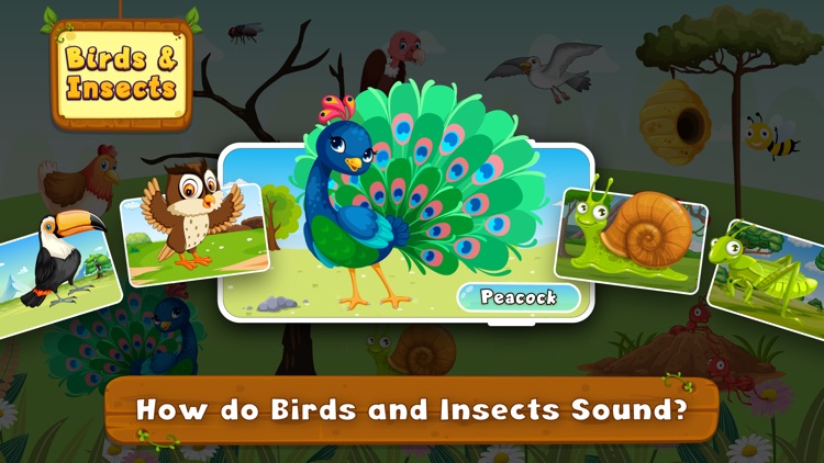 Animal Sound for learning