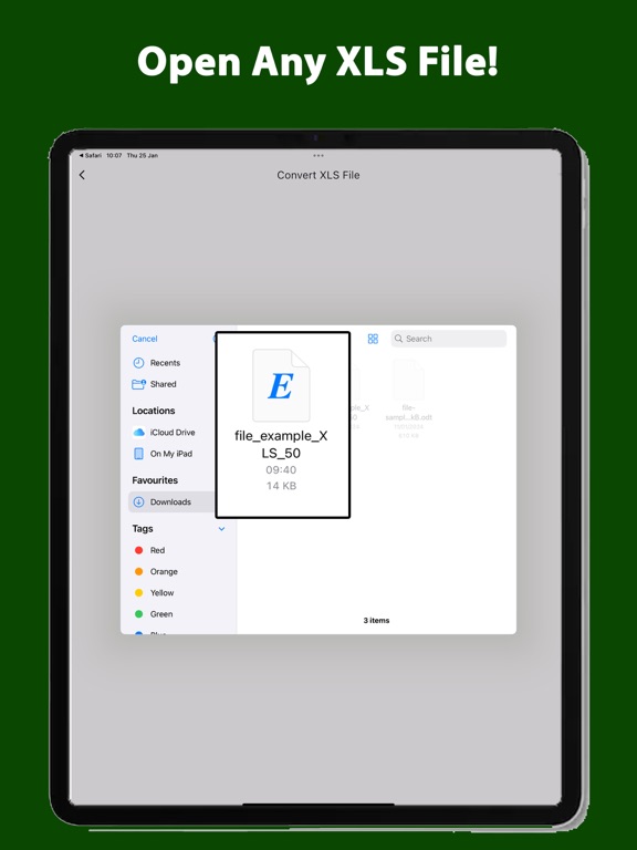 XLS Reader PDF XLSX Converter iPad screenshot 2 - Utilities app