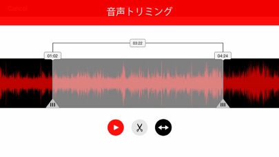 Voice Recorder : レコードオーディオのおすすめ画像3