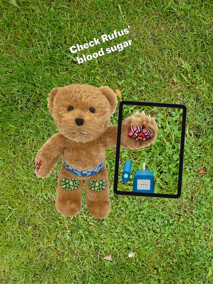 Rufus the Bear with Diabetes