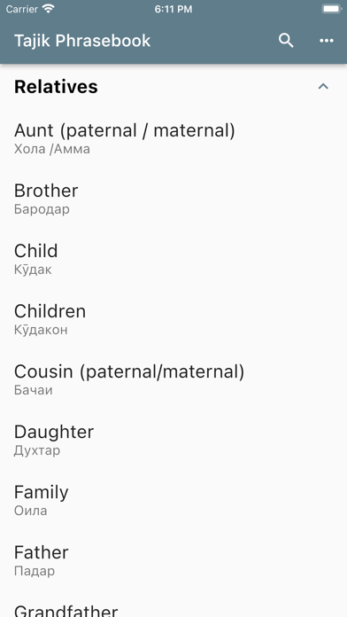 Tajik Phrasebook Screenshot