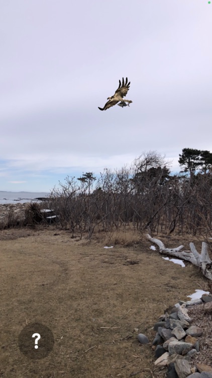 Homelands: Augmented Reality screenshot-3