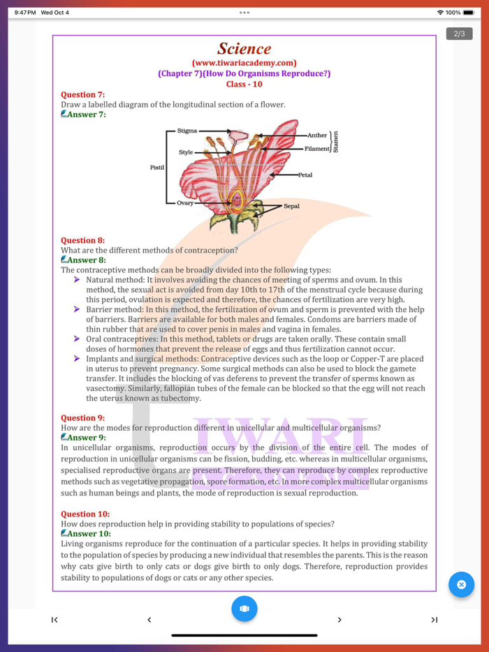 Class 10 all Subjects Solution