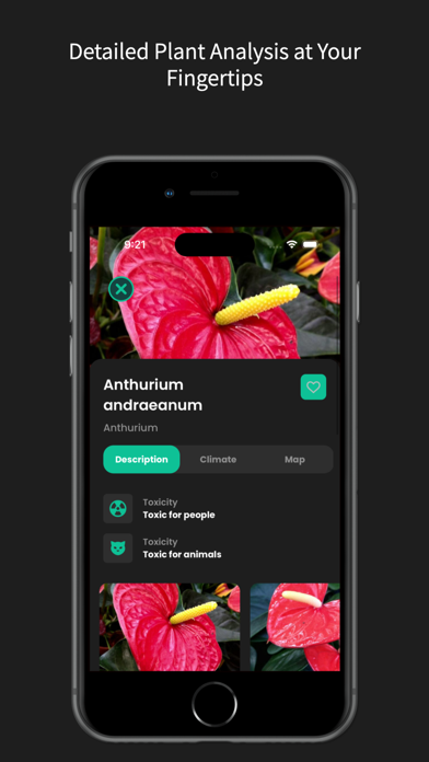 Plant identifier - LeafLens Screenshot