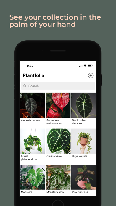 Plantfolia Screenshot