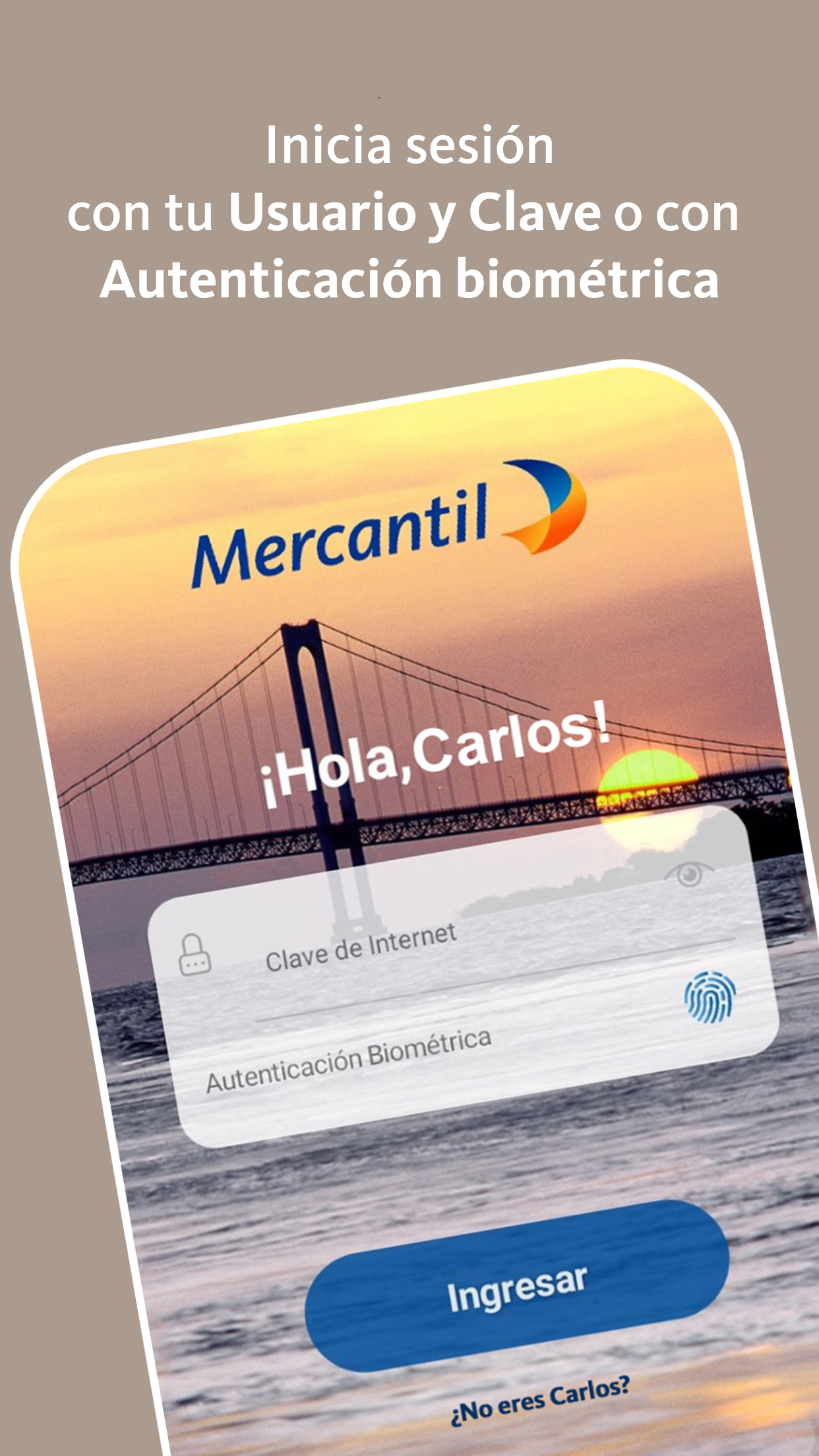 Mercantil Empresas