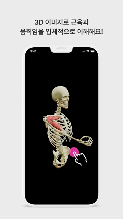 아나토미마스터 - 이파마스터가 만든 해부학 암기앱