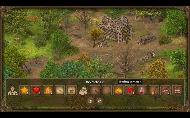 ‎Hero of the Kingdom: Tales 1 Screenshot