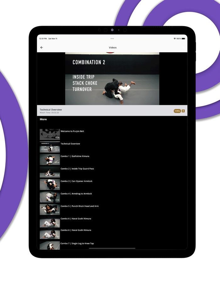 Purple Belt Requirements 2.0