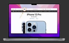 xincognito for safari айфон картинки 1