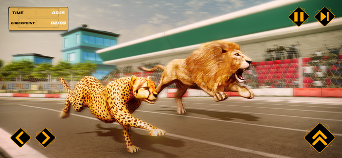 Wild Animal Race Horse Racing