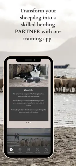 Game screenshot Sheepdog School mod apk