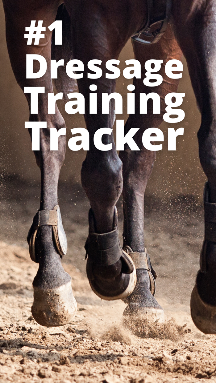 Dressage Hero Horse Riding