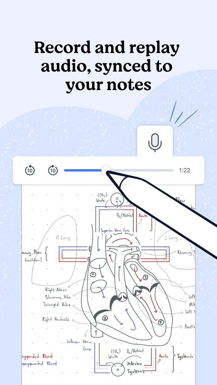 Notability Notes Audio PDF