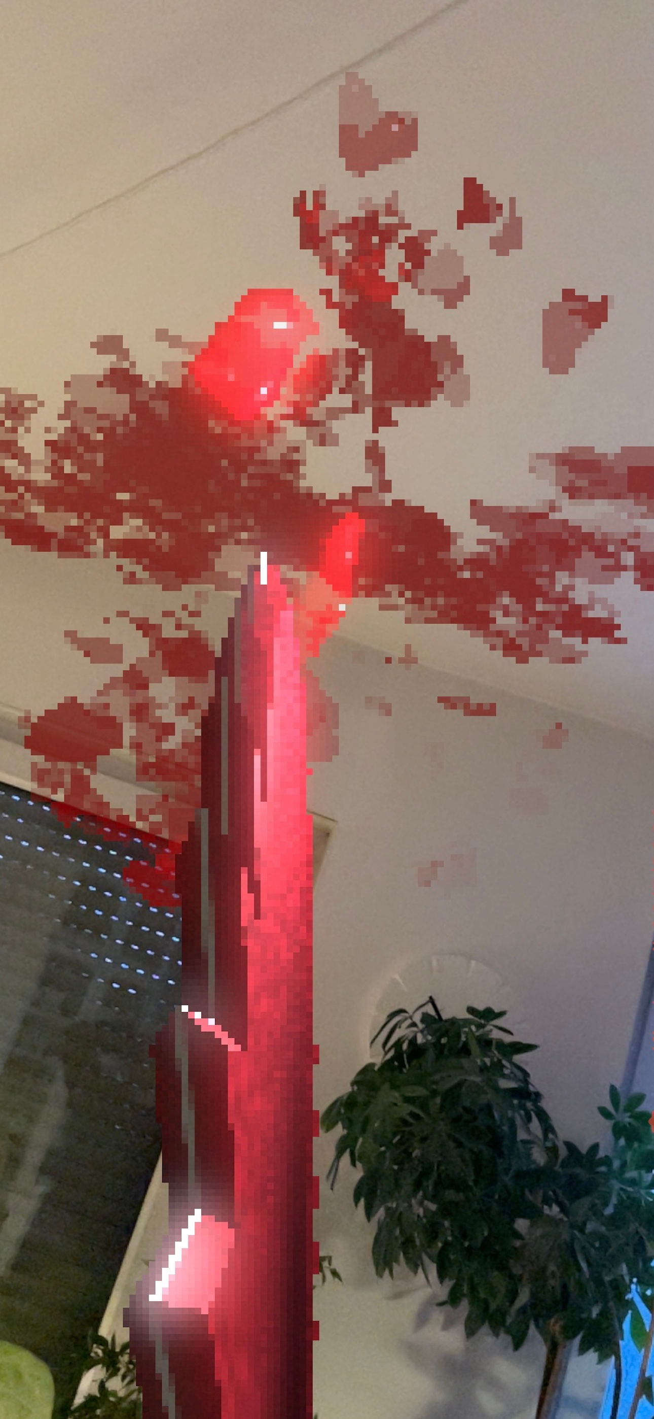 Finger Cut
