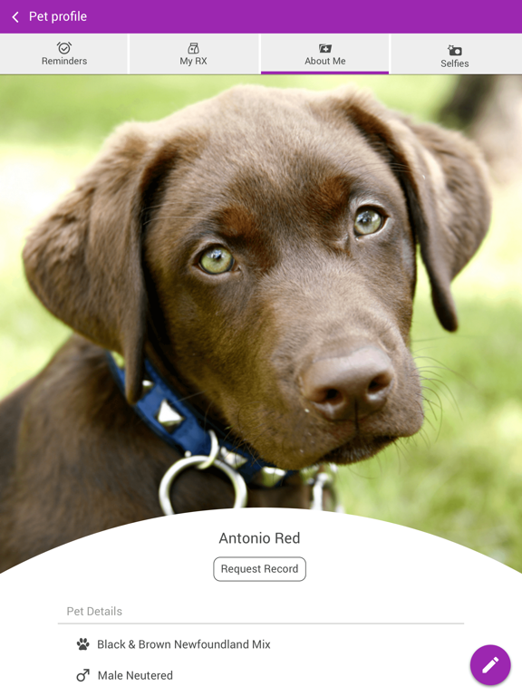 Animal Clinic of Brandon iPad screenshot 3 - Business app