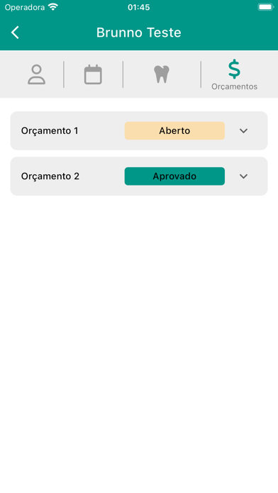 Dentista Organizado Screenshot