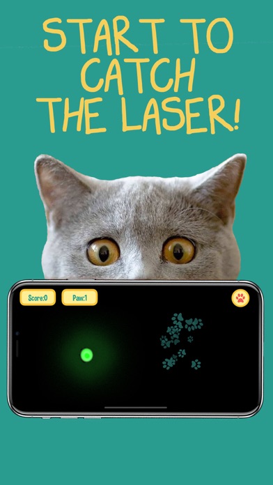 Cat laser pointer  - Pet fun screenshot 3