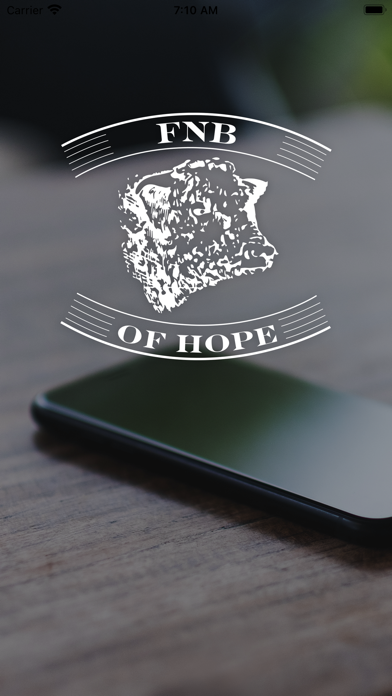 First National Bank of Hope Screenshot