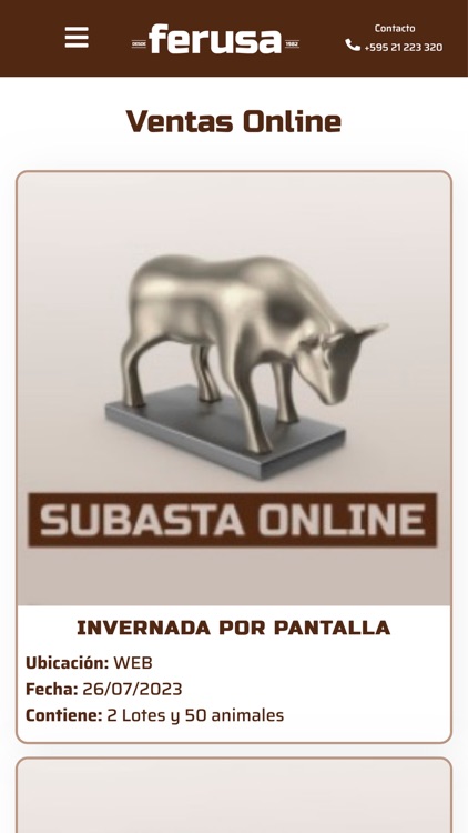 Ferusa Subastas screenshot-3