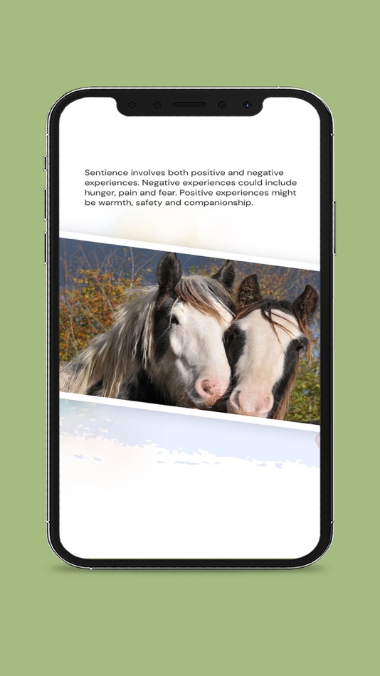 #4. Redwings AR Timeline (iOS) 由: Redwings Horse Sanctuary