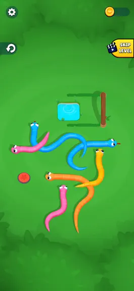 Game screenshot Snake Knot: Sort Puzzle Game mod apk