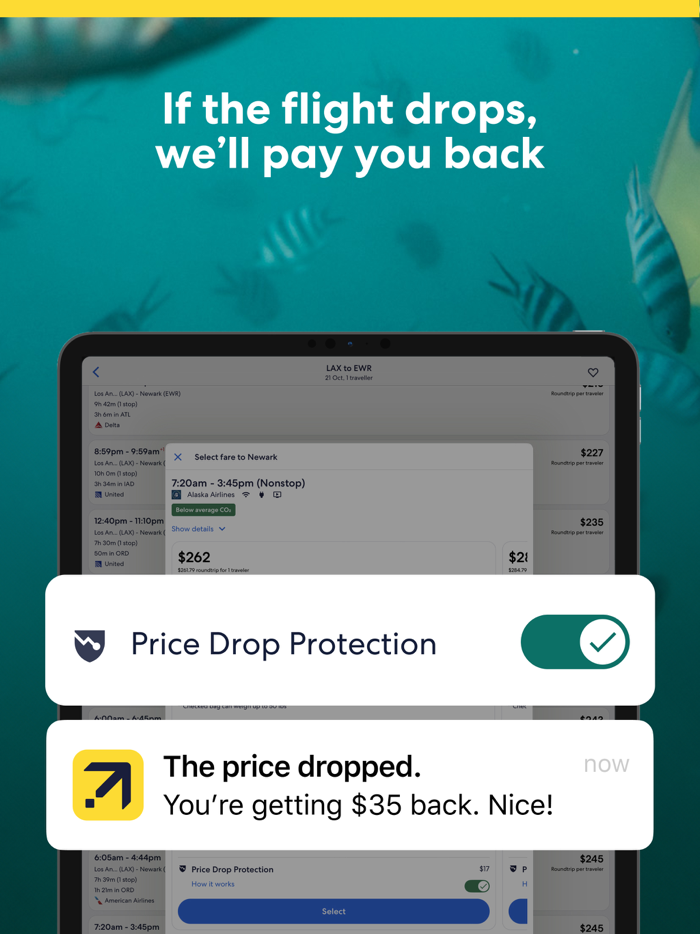 Expedia Hotels Flights and Car