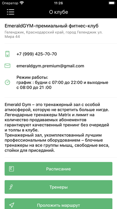 Emerald Gym Screenshot